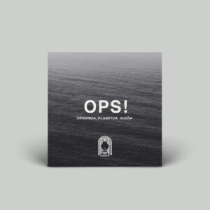 CURSO OPS:  Organiza, Planifica, Sueña.